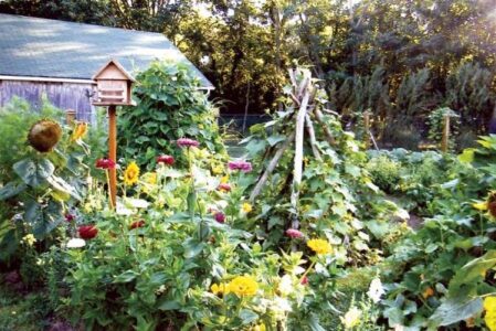 Country Lore: Vertical Gardening Image